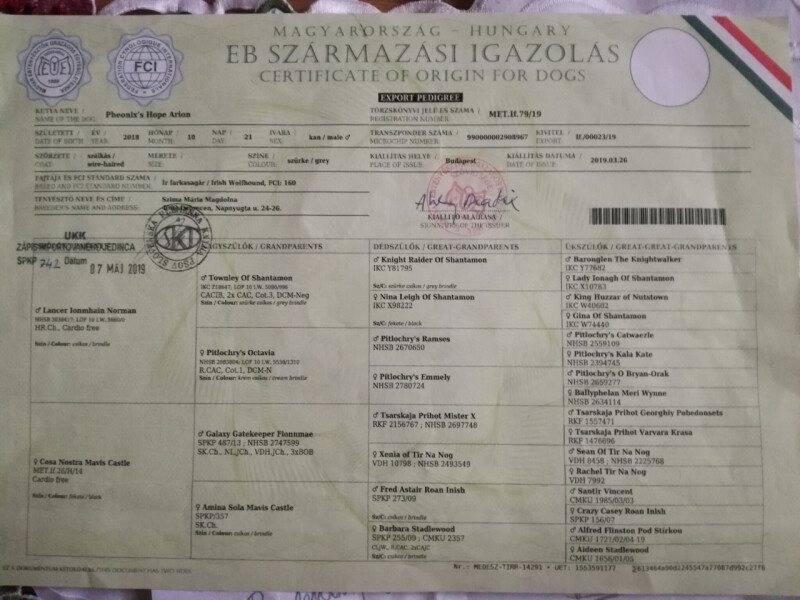 Arion Rodokmeň Slovenska
